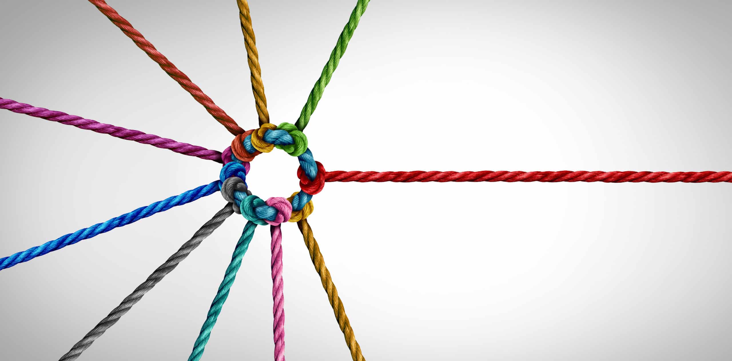 Read more about the article Building and relying on community as an early career member