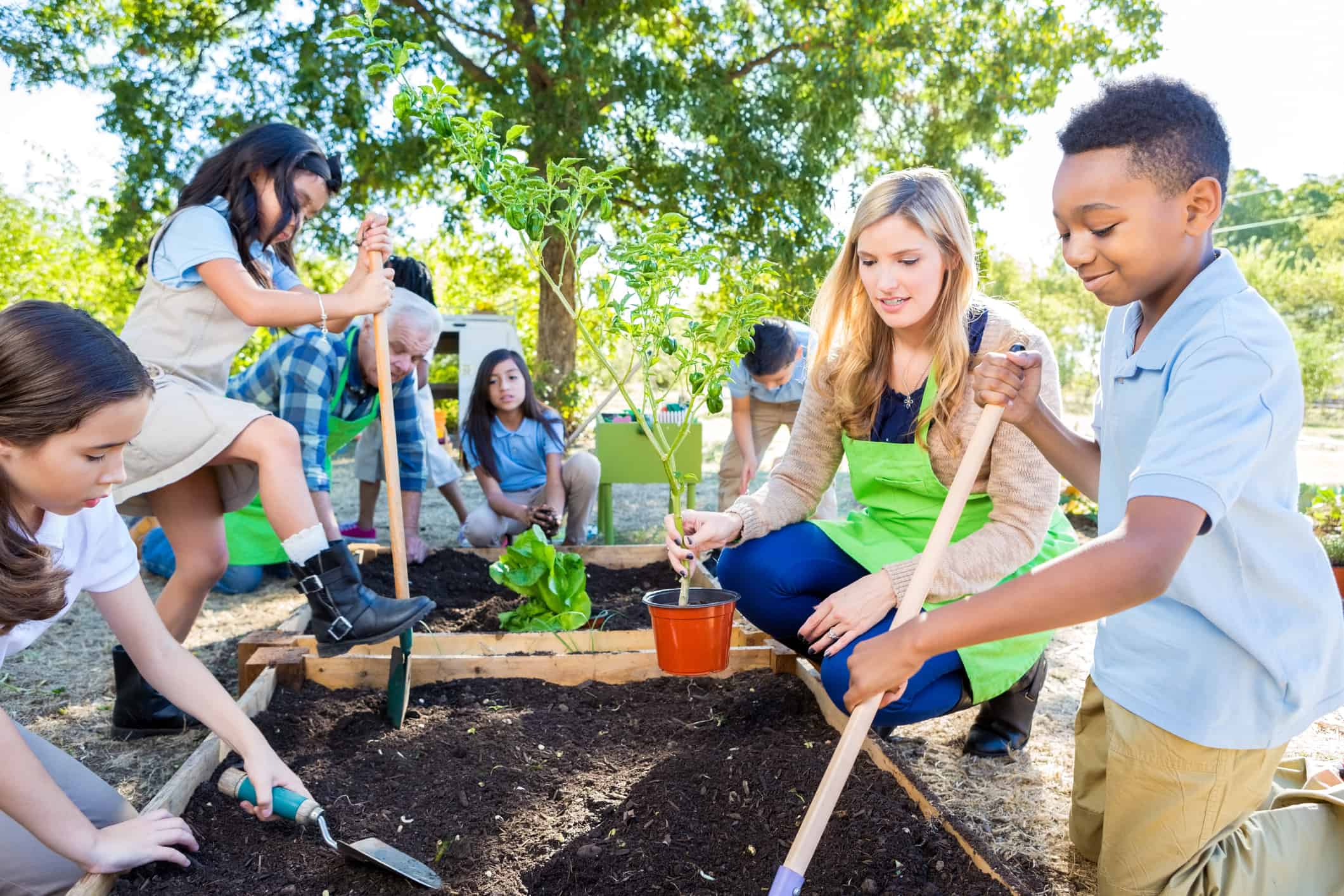 Read more about the article $180,000 in Grants to deliver innovative school-based sustainability projects