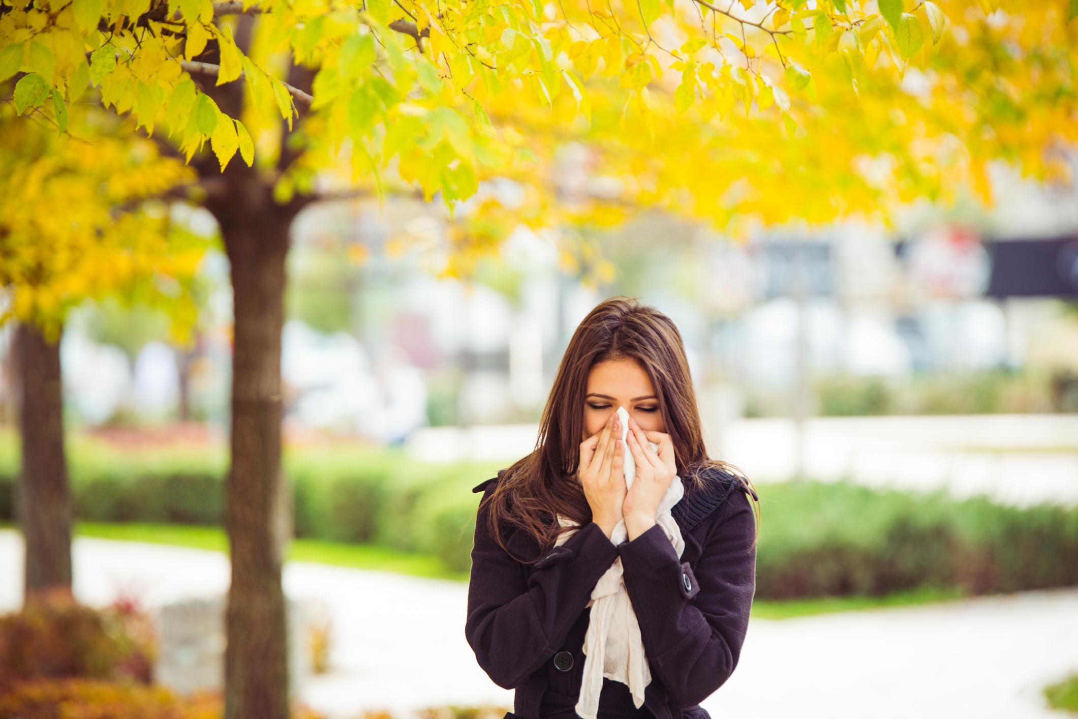 Read more about the article Reducing triggers for allergies