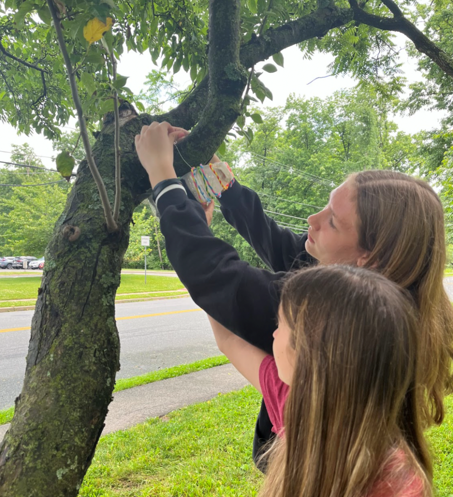 Eradicating noticed lanternflies by design-thinking challenges