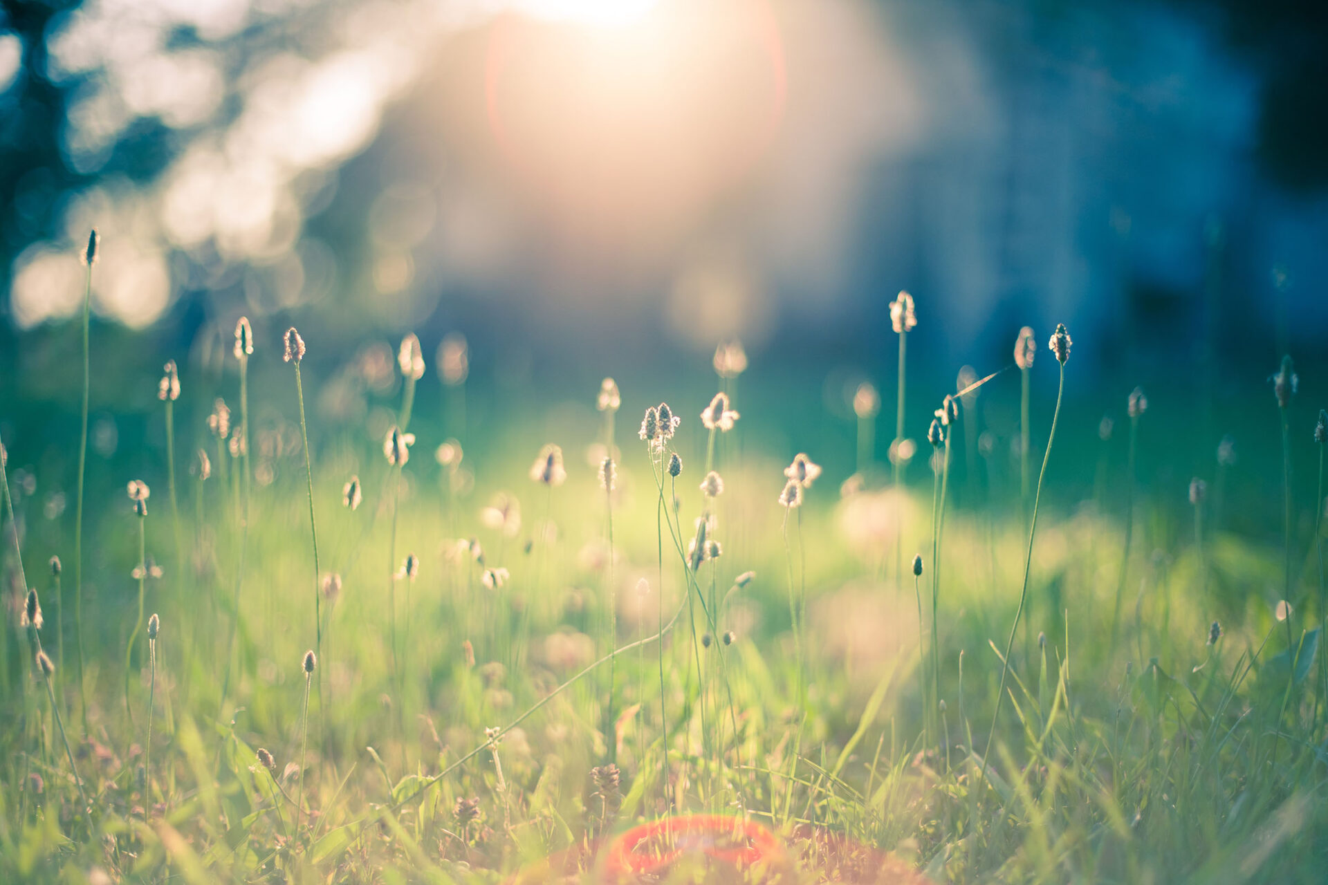 Read more about the article Hope and healing
