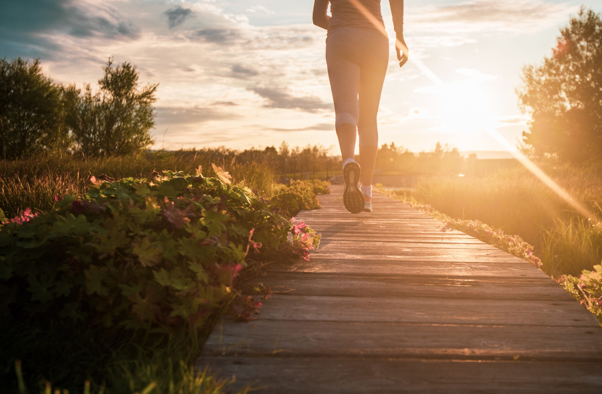 Read more about the article Health & wellness resources to kickstart your resolutions