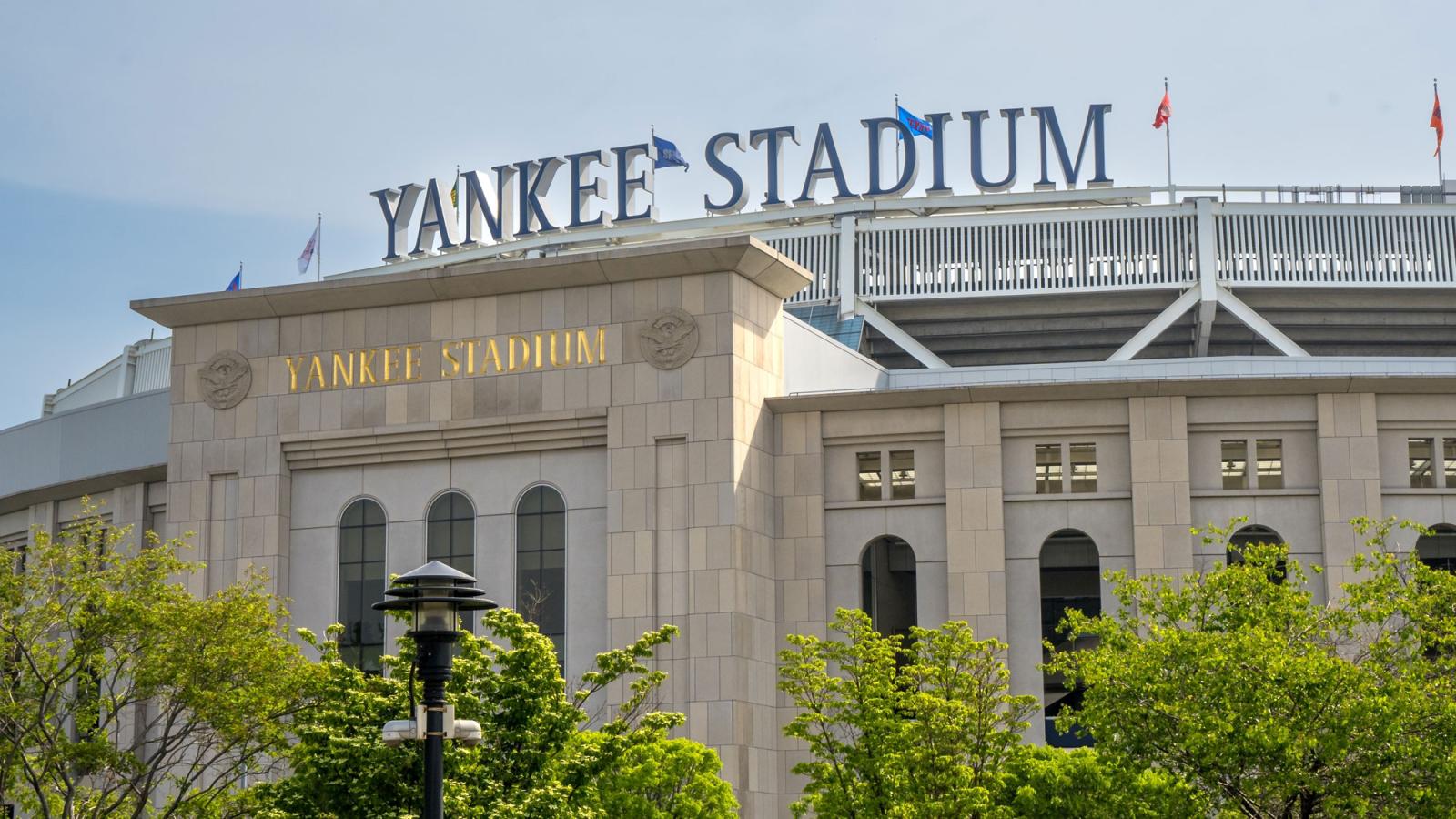Read more about the article Back to School special from the Yankees