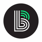 Big Brothers Sisters logo