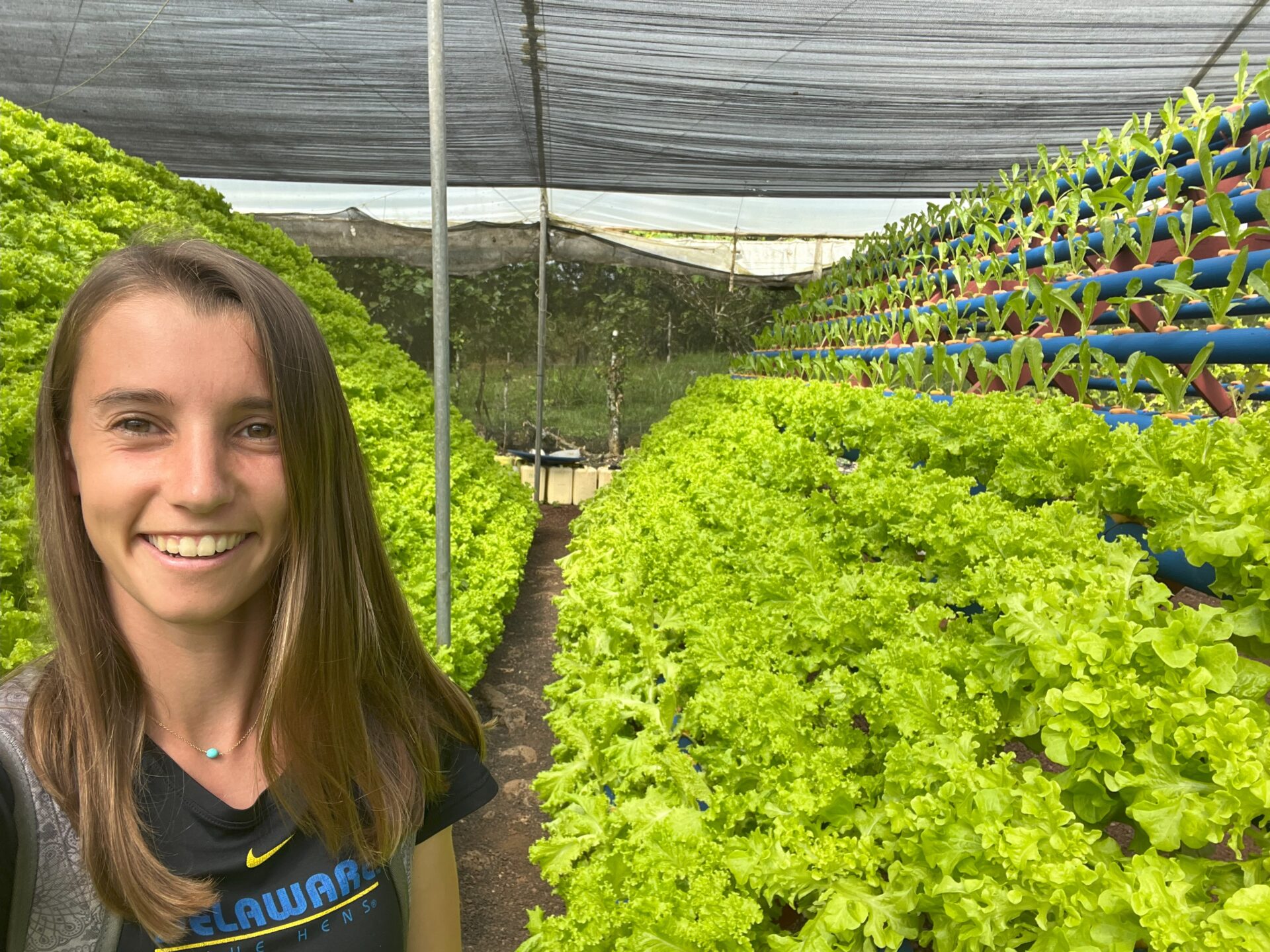 Read more about the article Growing Environmental Activists