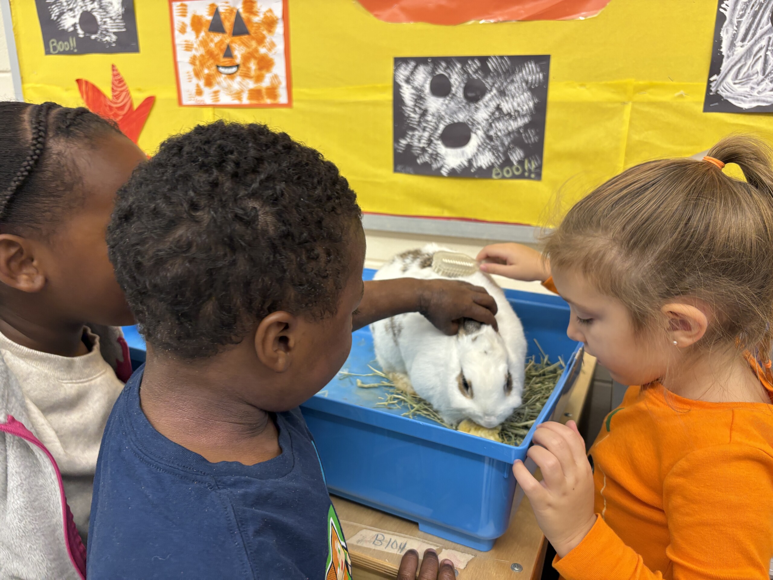 Read more about the article Cookie Dough, the classroom rabbit, makes preschool learning sweet 