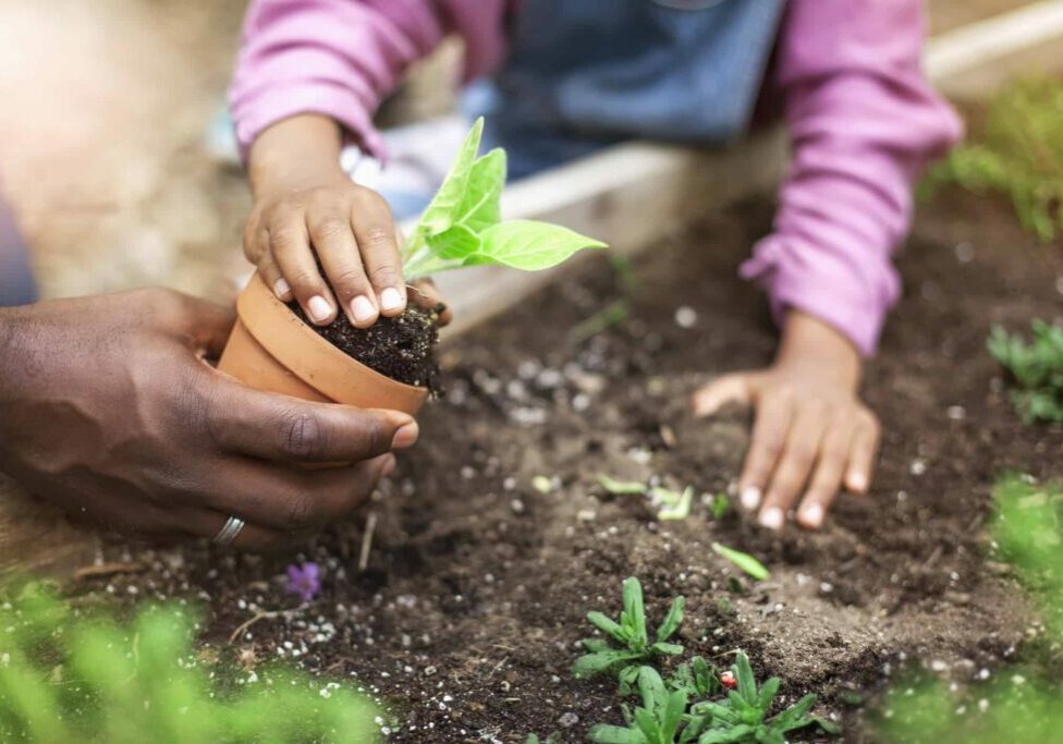 father and daughter planting potted plant