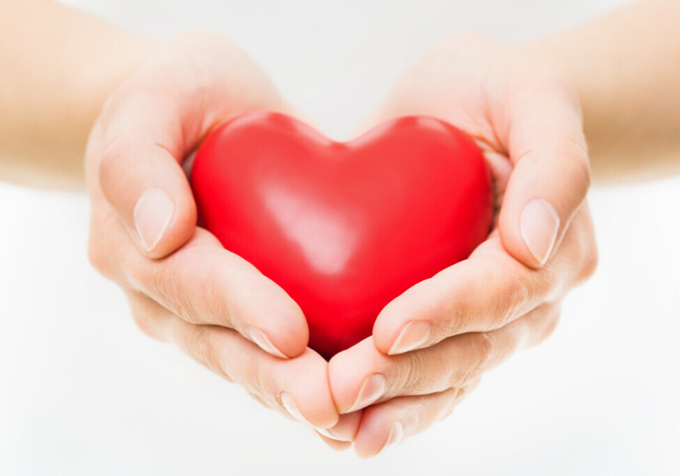 Hands Presenting Heart