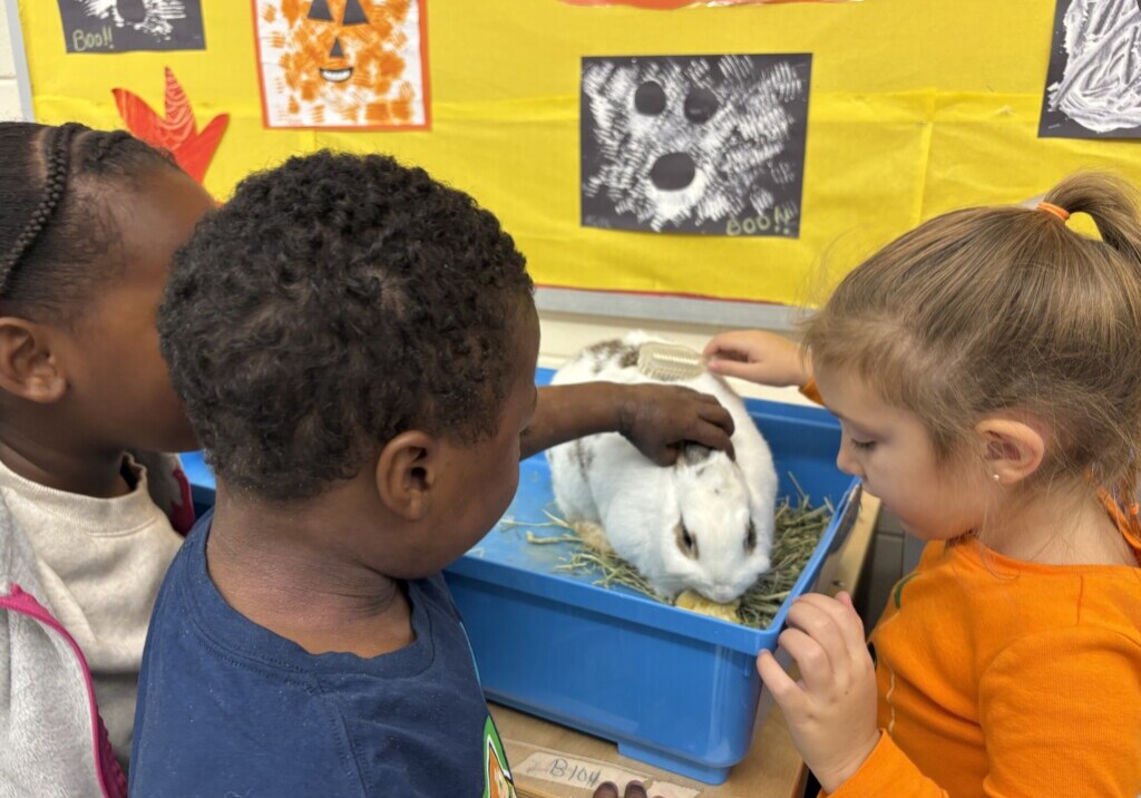 3 preschool students with a bunny in a classroom 