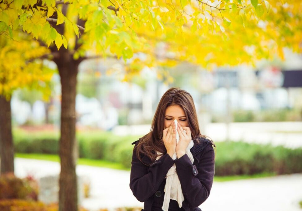Allergy season fall