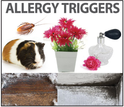 Allergy triggers